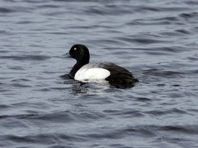 g3/25/808025/3/114037068.fuSRP2lT.jpg