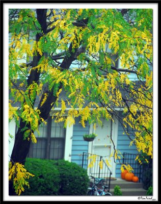 Pumpkin door