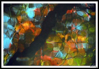 Nature Reflection Painting 3