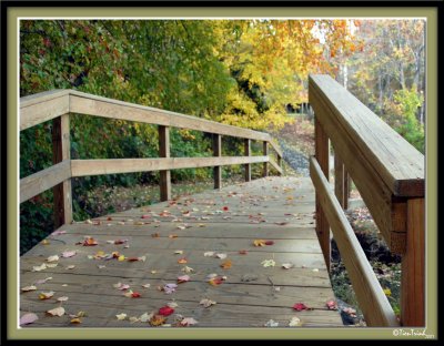 Follow The Path