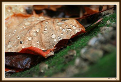 After The Rain