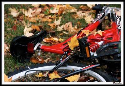 Red Bike