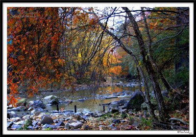 View  by the River