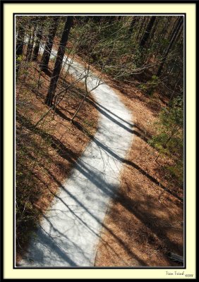 Shadows Over Path