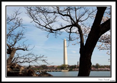 Washington Monument 14