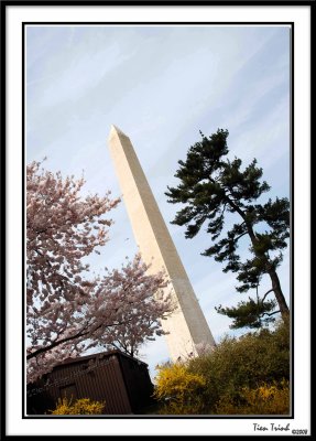 Washington Monument 21