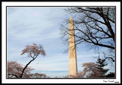 Washington Monument 24