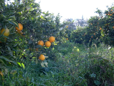 Spain, Sierra Nevada