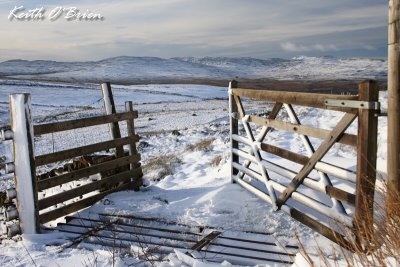 Snowy Gate