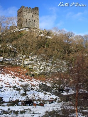 Castell Dolwyddelan 1