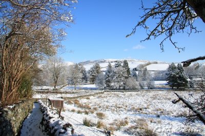 Llwybr y Dafarn