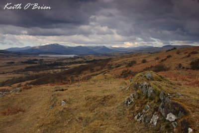 Traws and Moelwyn