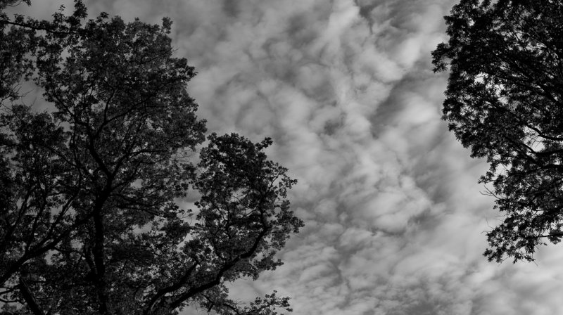 g3/25/829825/2/124612411.0VNob7Lk.jpg