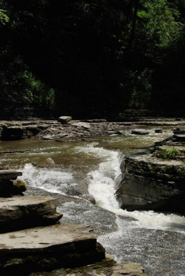 DSC_0073.jpg