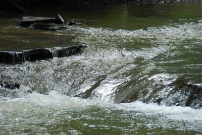 DSC_0125.jpg