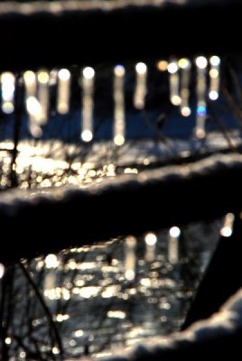 Ice_0091aa .jpg