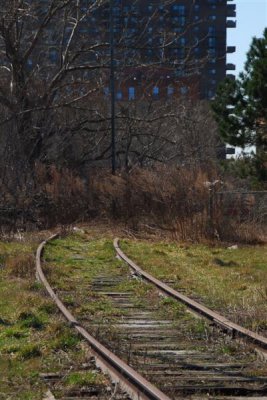 DSC_0082.jpg