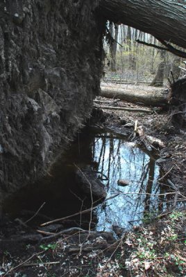 DSC_0065.jpg