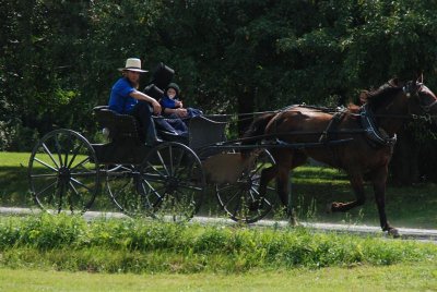 DSC_0005 Medium.JPG