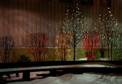 Holiday Lights DSCa_0016 .JPG