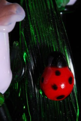 ladybug0135.JPG