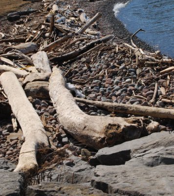 driftwood and stones