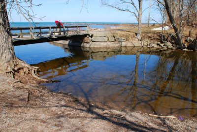 webster park