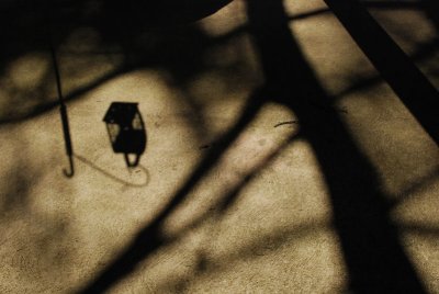 late afternoon shadow on patio