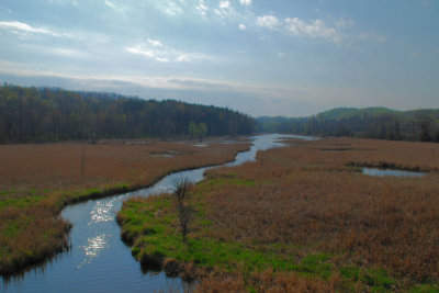 wetlands-Wayne County, NY