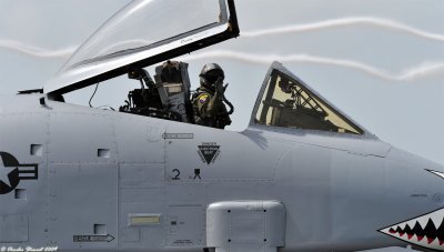 A-10 Warthog pilot