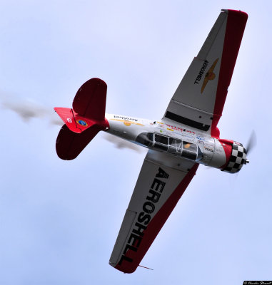 Gene McNeely - T-6 Texan - Team Aeroshell