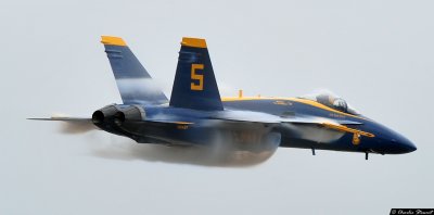Blue Angels - #5 Lead Solo - high speed pass