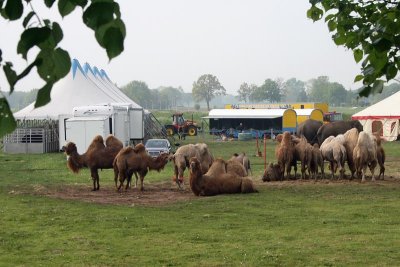 Pieterpad : Etappe Hardenberg -  Ommen