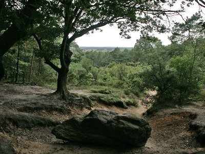 Pieterpad : Etappe Ommen - Hellendoorn