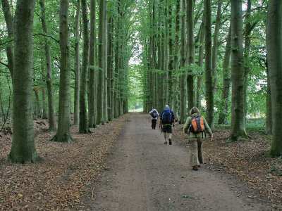 Pieterpad : Etappe Laren - Vorden