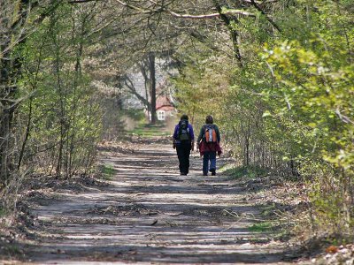 Pieterpad : Etappe Vorden - Zelhem