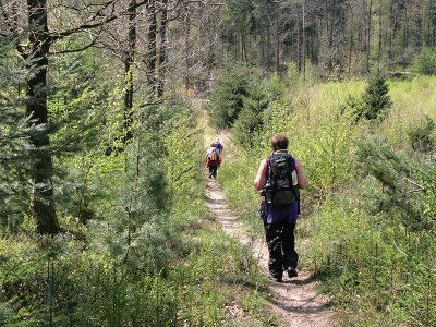 Pieterpad : Etappe Zelhem - Hoch Elten