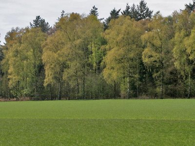 Pieterpad : Etappe Zelhem - Hoch Elten