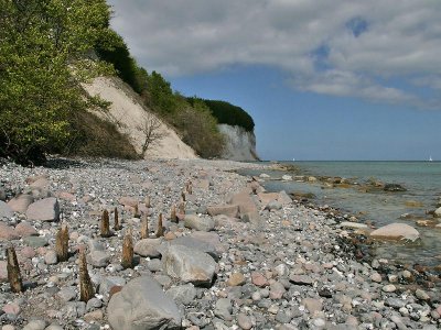 Beach : Rgen - National Park Jasmund