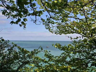 Rgen - National Park Jasmund
