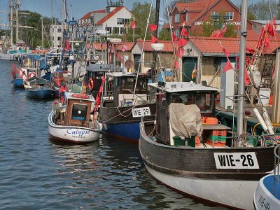 WIE - Harbour