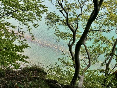 Rgen - National Park Jasmund