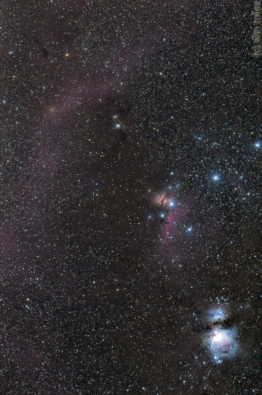 Orion - M42 to Barnard's Loop