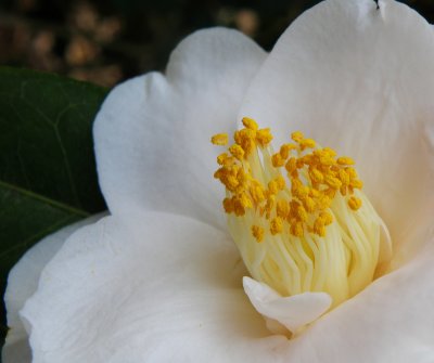 g3/25/910725/3/111611807.ow6xpPA2.jpg