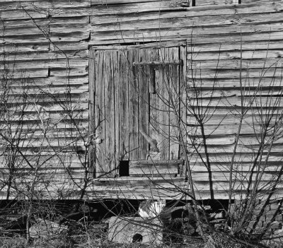Old Barn, Smithfield, VA, 2010.jpg