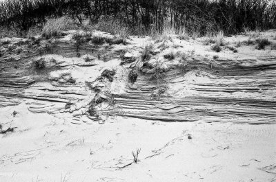 Dune #1, Back Bay NWR, Virginia, 2010.jpg