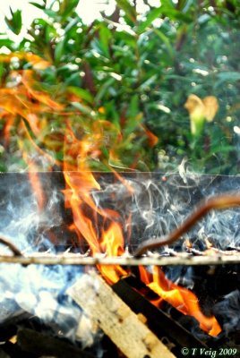 barbecue 4