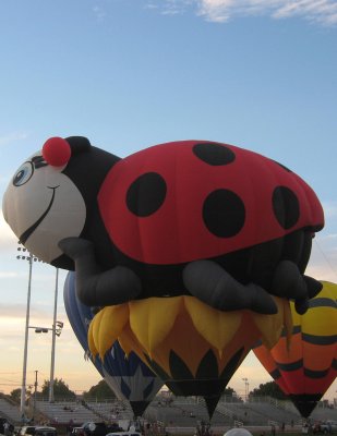 Bug balloon
