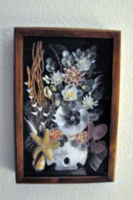 sea shells  picture
