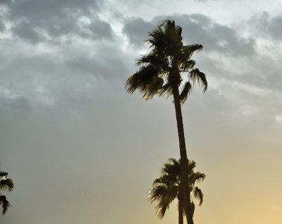 January 8, 2010
